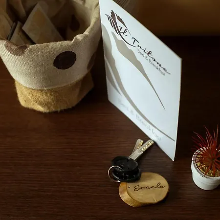 Il Tritone Frühstückspension